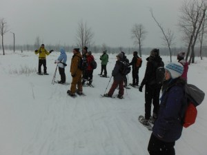 Talking About Forest Change 